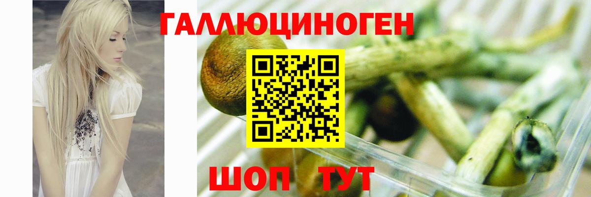 Псилоцибиновые грибы мицелий  Вход с VPN  Ярославль 
